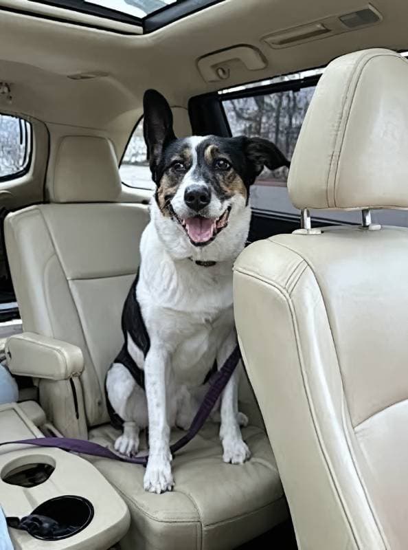 car seat