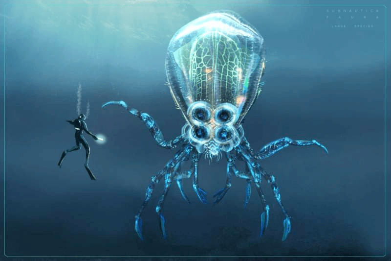 bioluminescent octopus