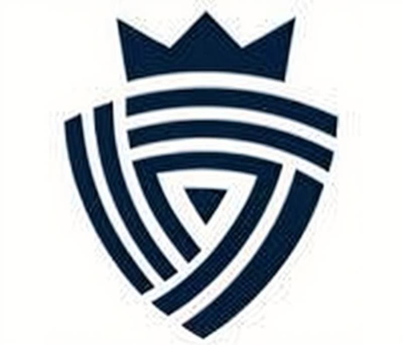 sports team logo