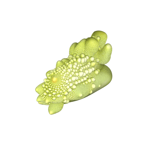 fractal vegetable
