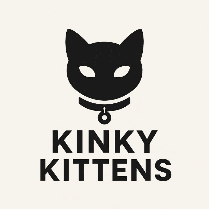 black cat collar