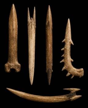 wooden spear