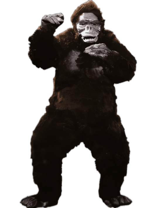costume gorilla