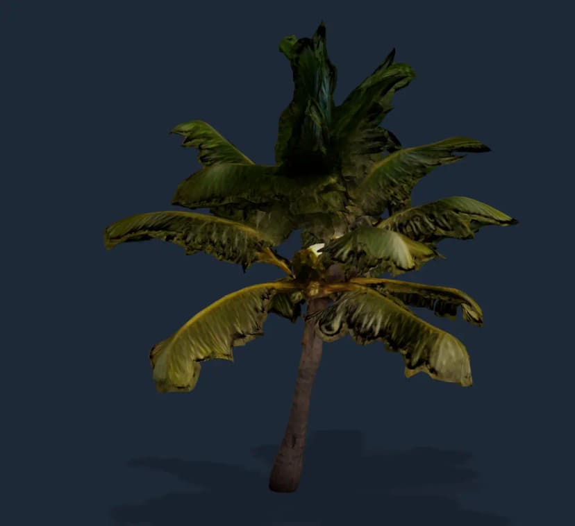 Palm - Photo to 3D Model