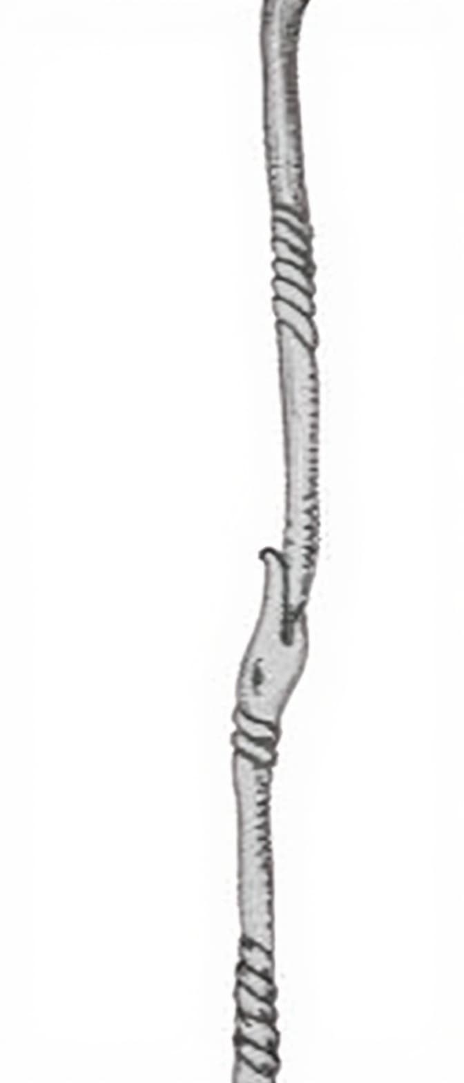 metal rod