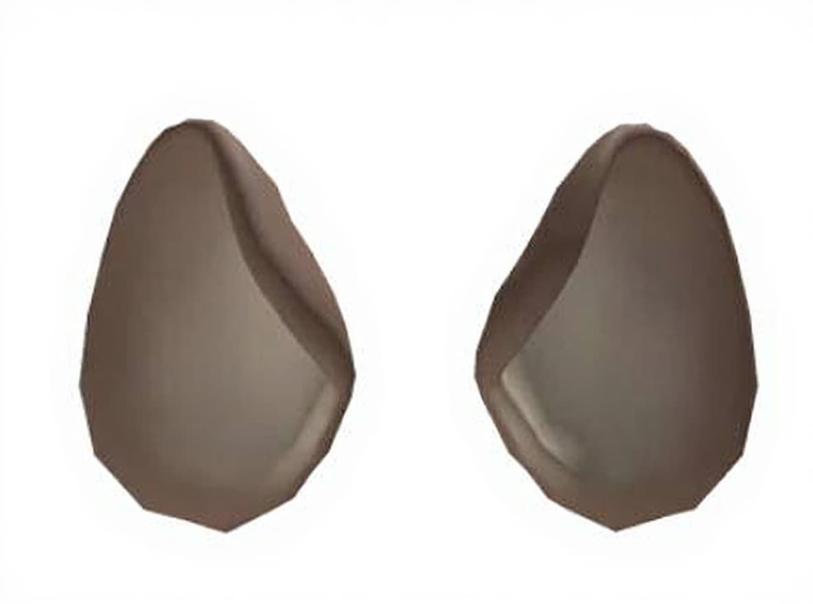 object holder