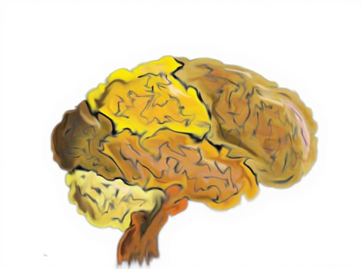 brain illustration