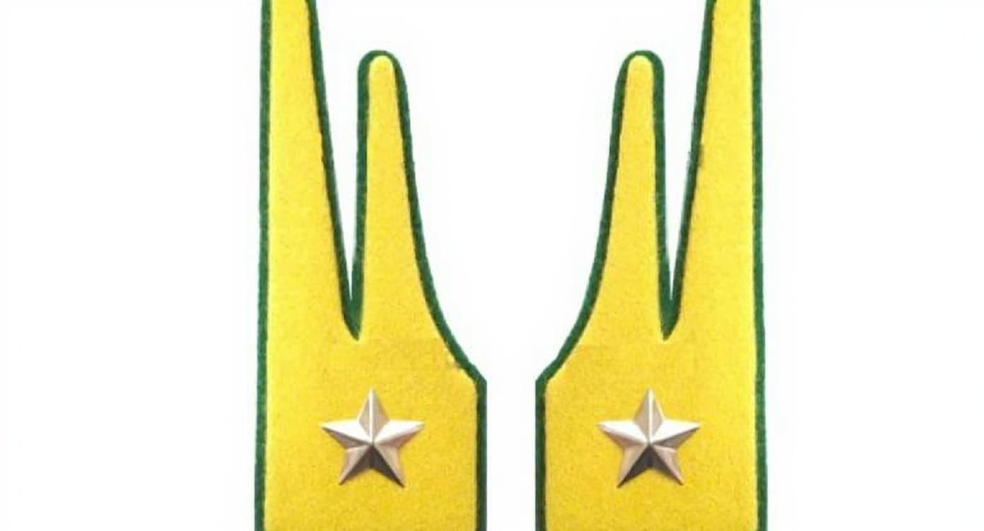 military insignia