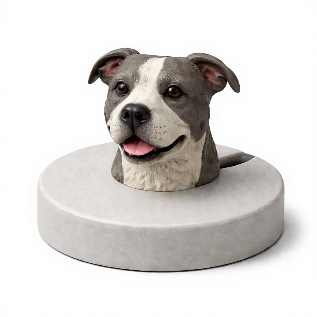dog bed