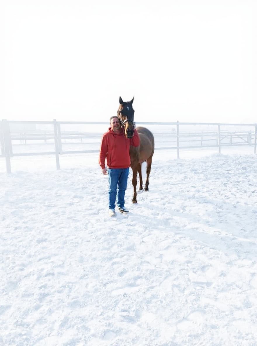 horse