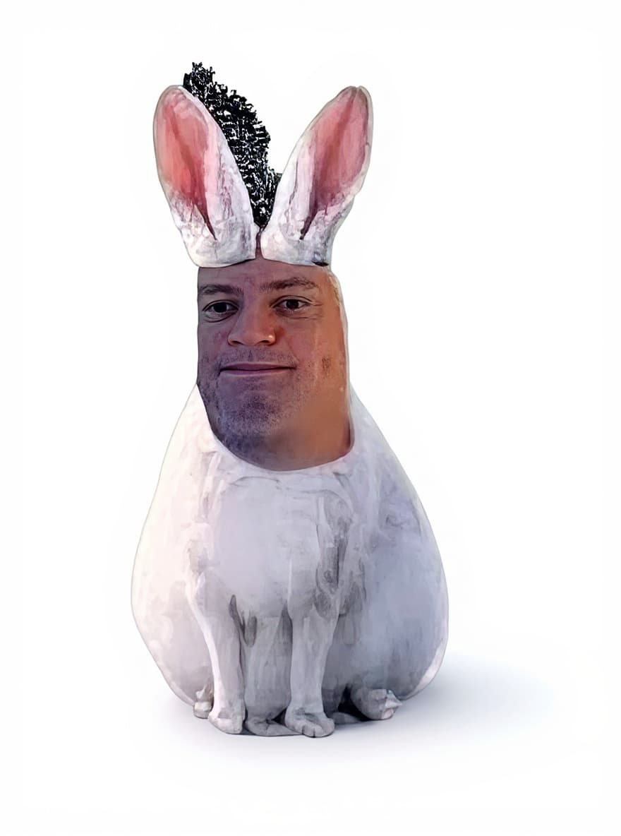 white rabbit statue