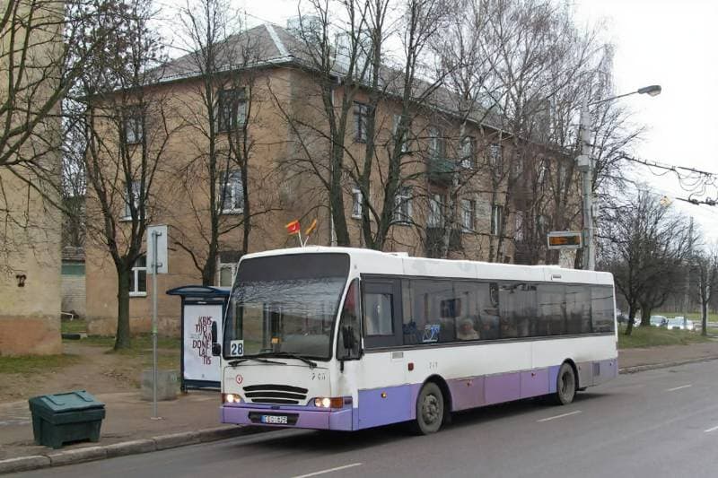 bus