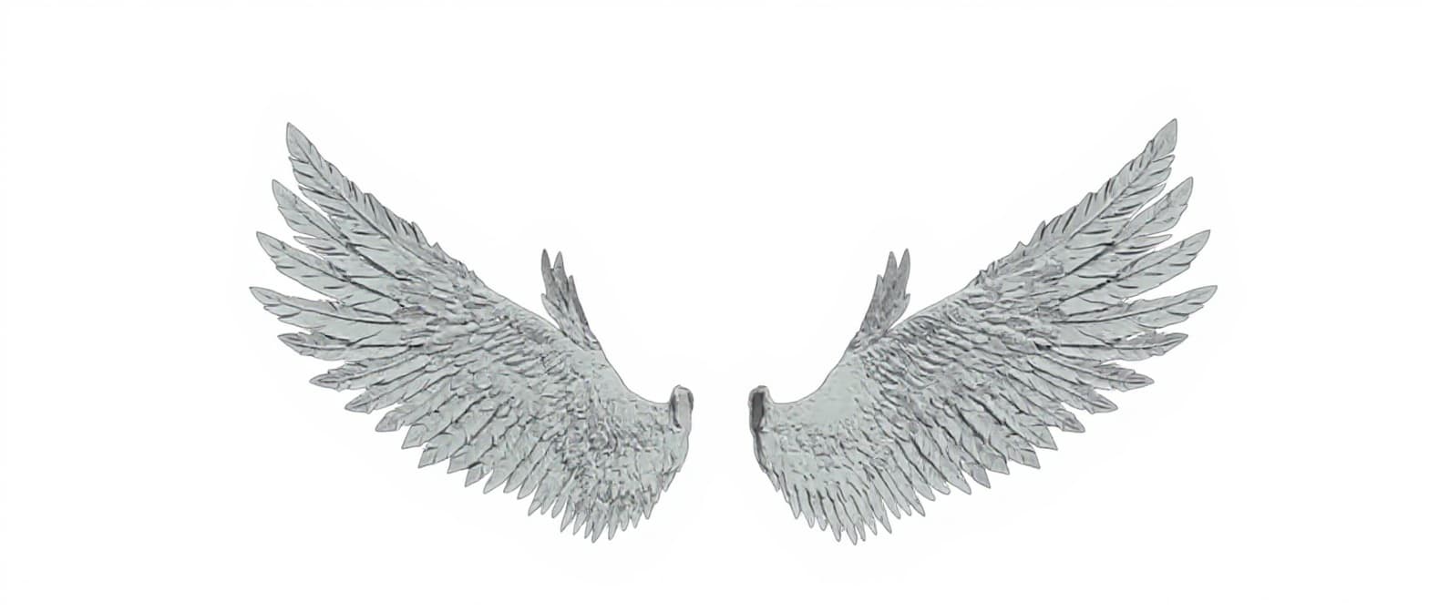 angel wings