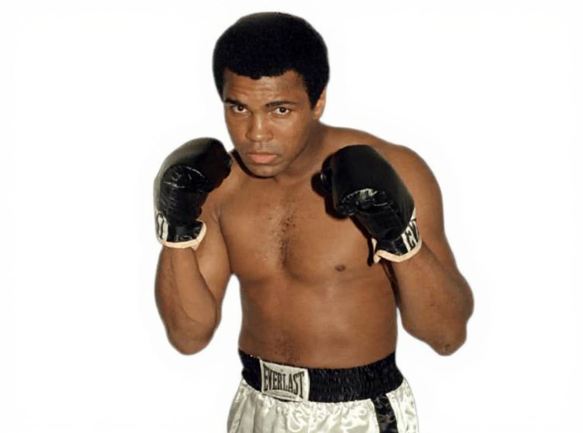 boxing gloves