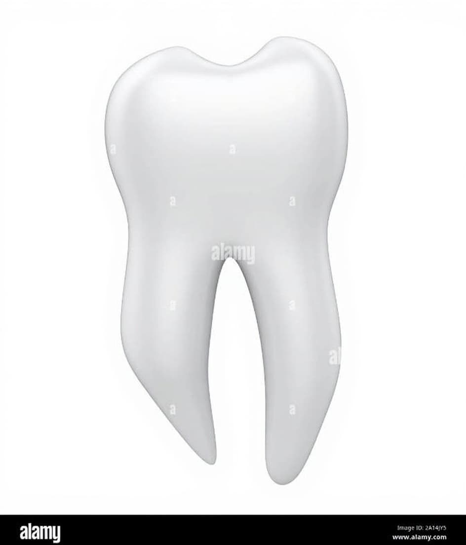 tooth