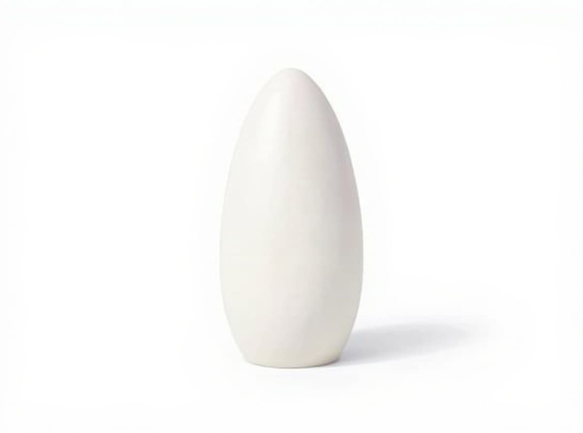 white egg-shaped object
