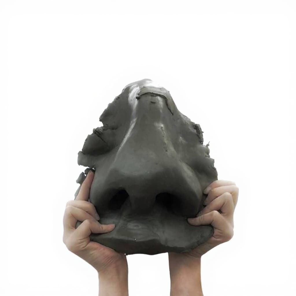 clay nose sculpture