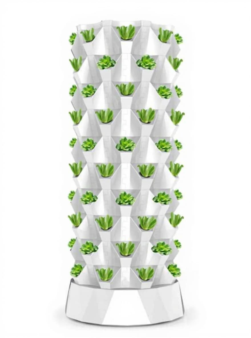 plant holder
