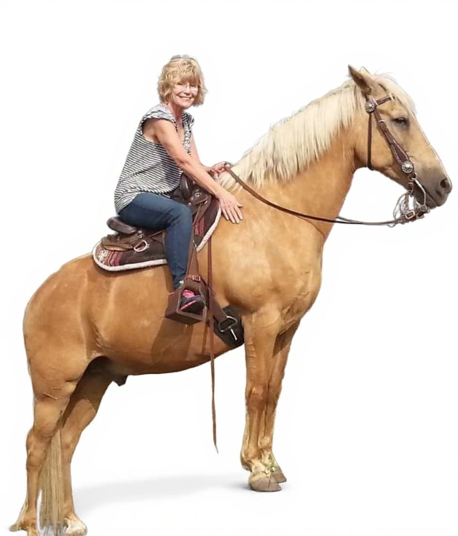 horse saddle