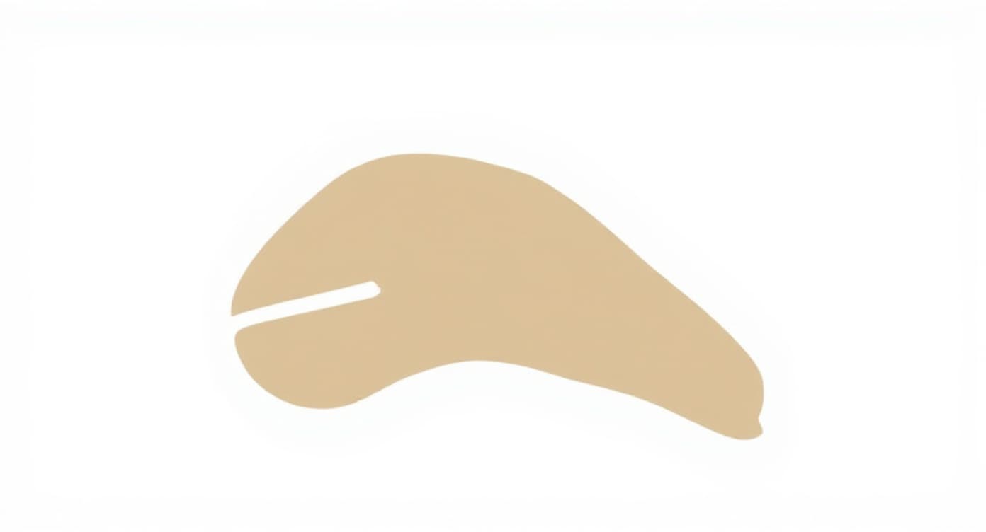 beige bone-shaped object