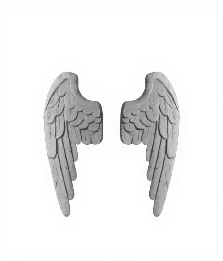angel wings