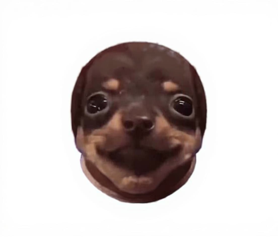 dog face