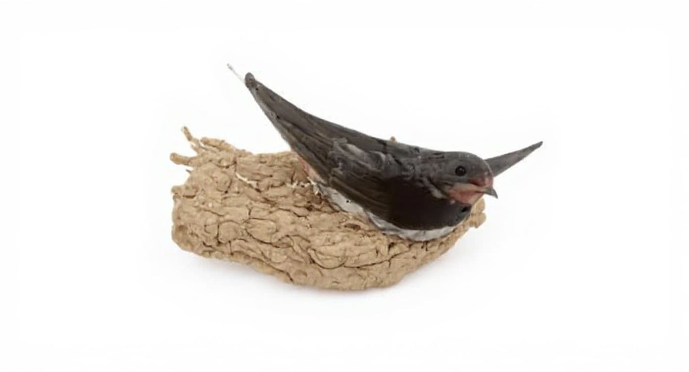 bird perch