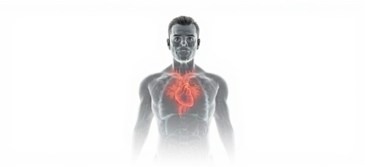 heart-shaped object
