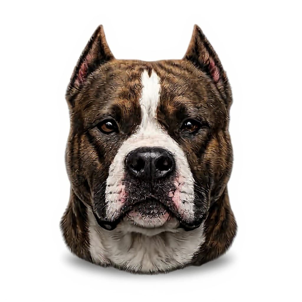 dog head