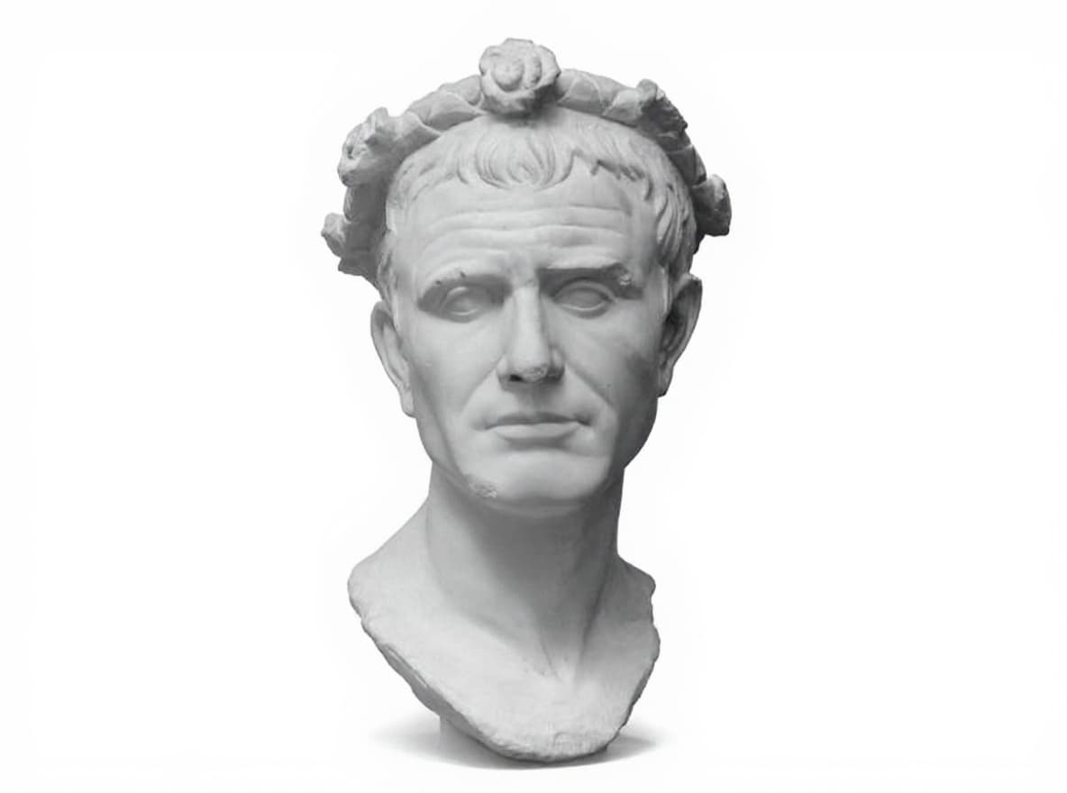 bust