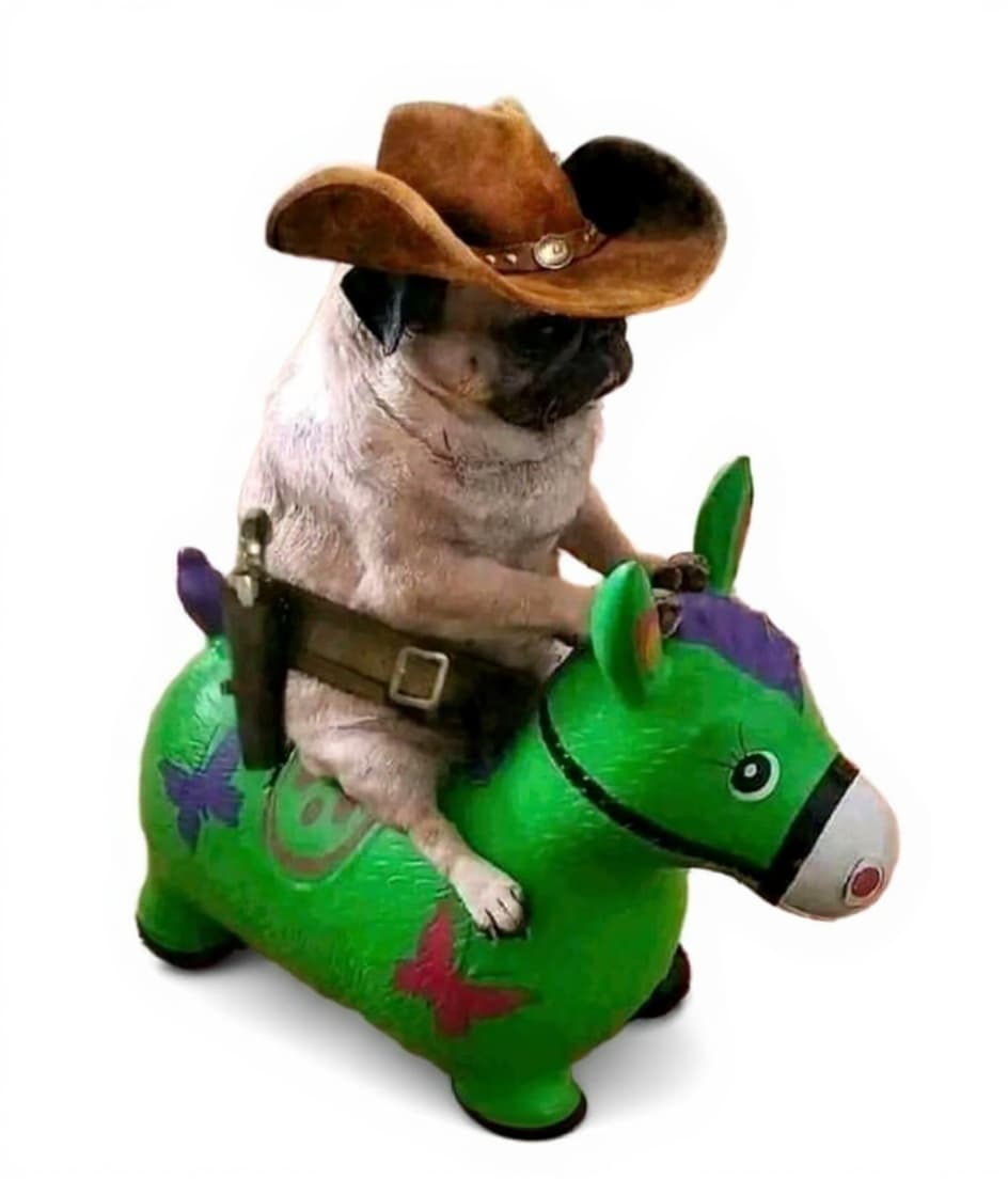 toy horse