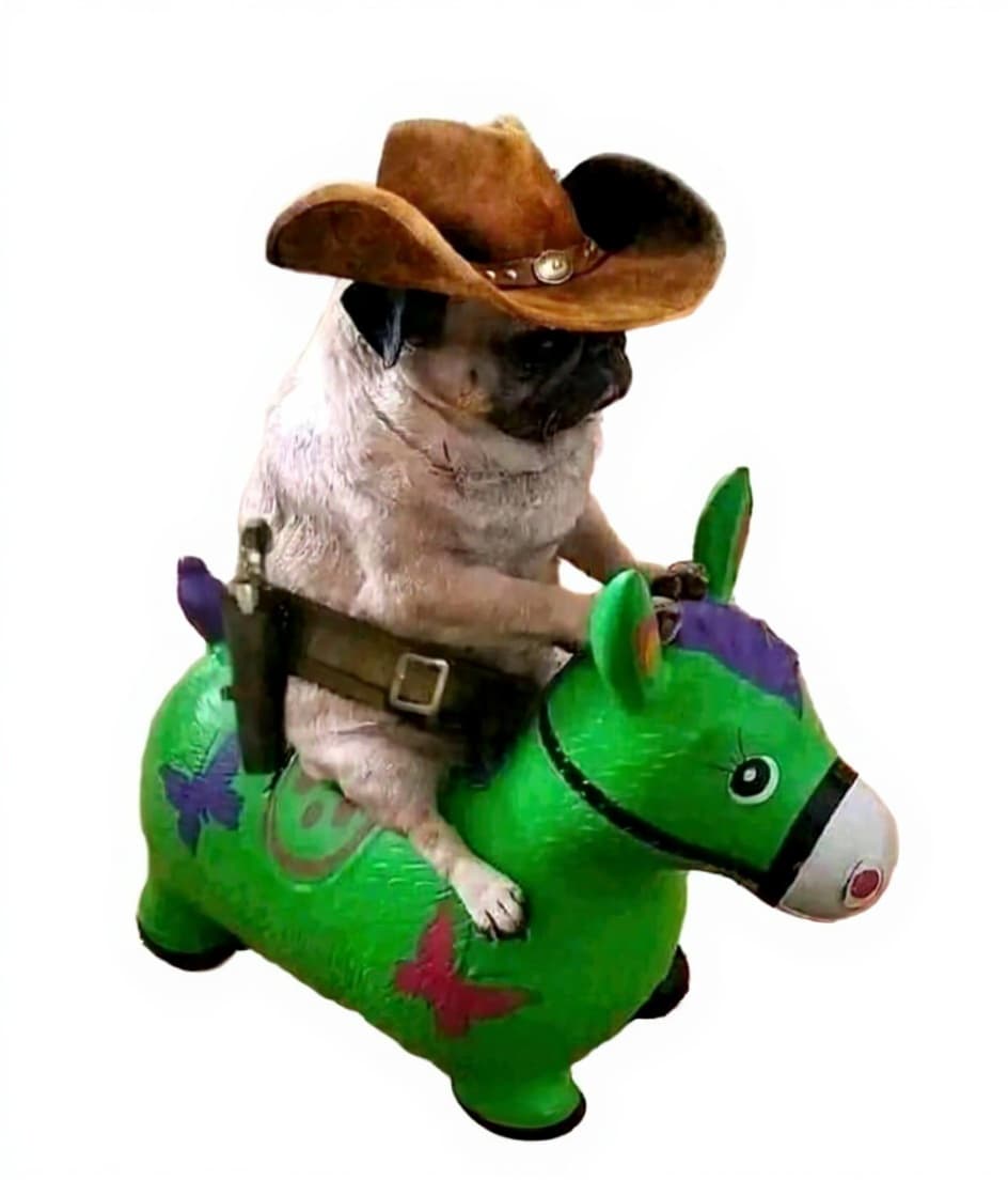 toy horse