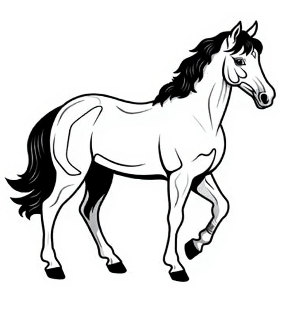 horse