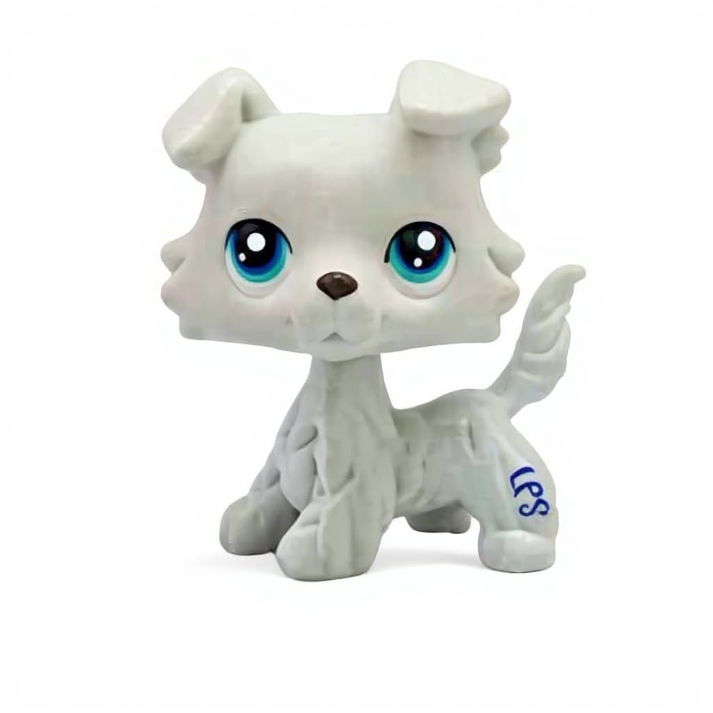 toy dog