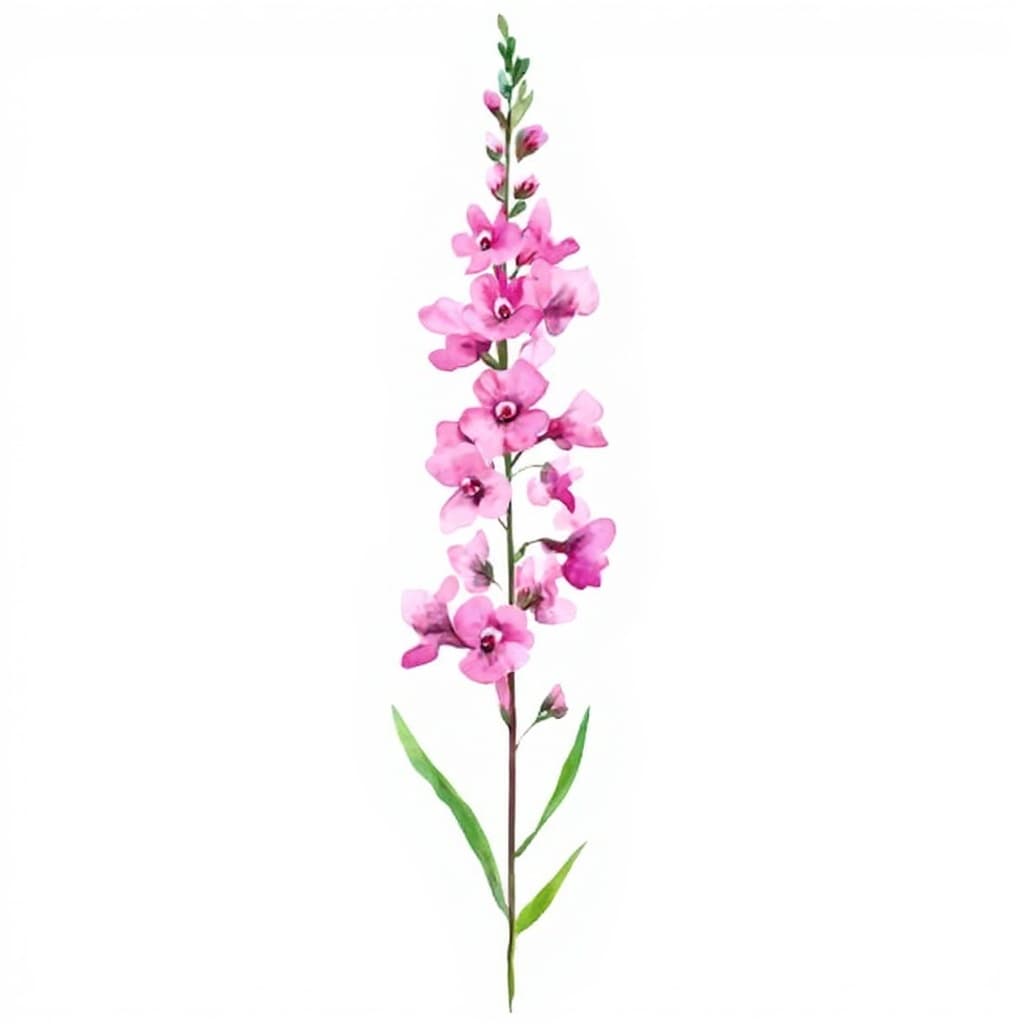 flower stem