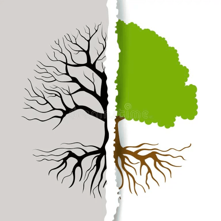 tree split in