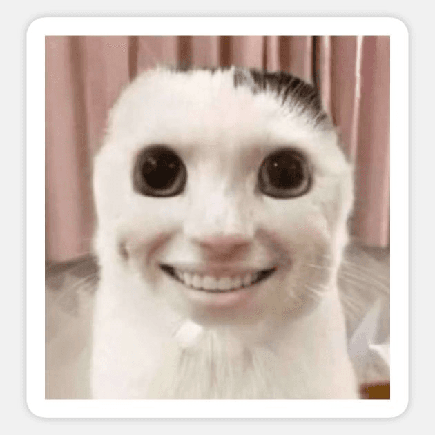 cat sticker