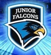 junior falcons logo