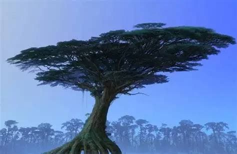 tree-like structure