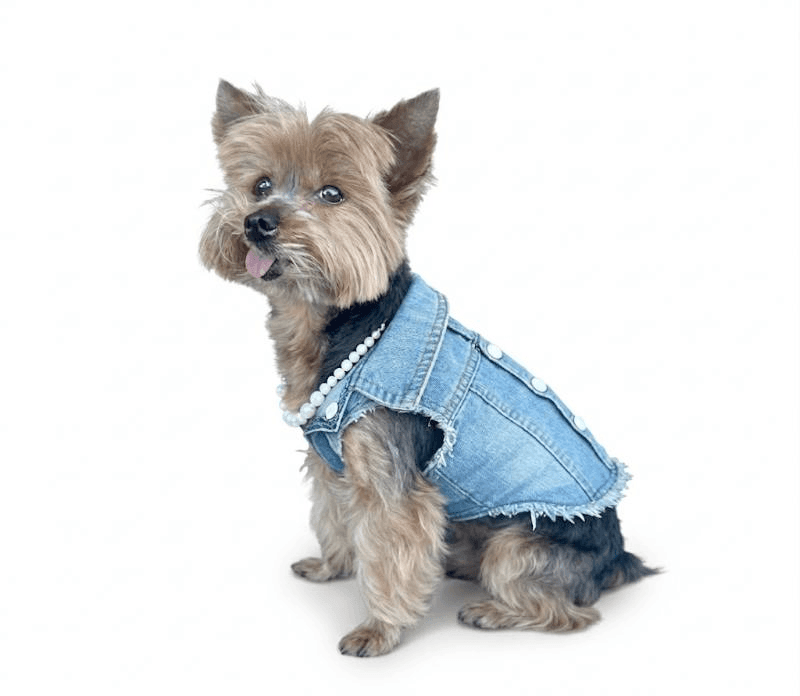 dog clothing