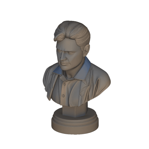 bust