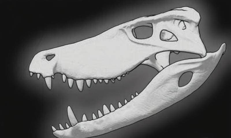 toy dinosaur