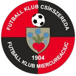 sports club emblem