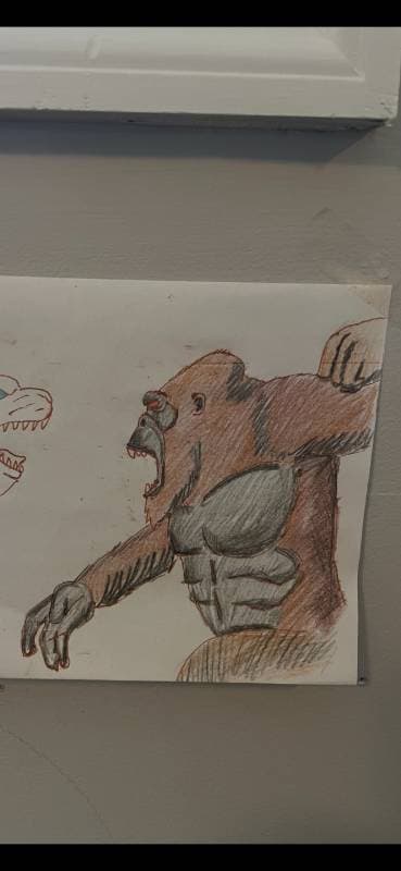 drawing of a