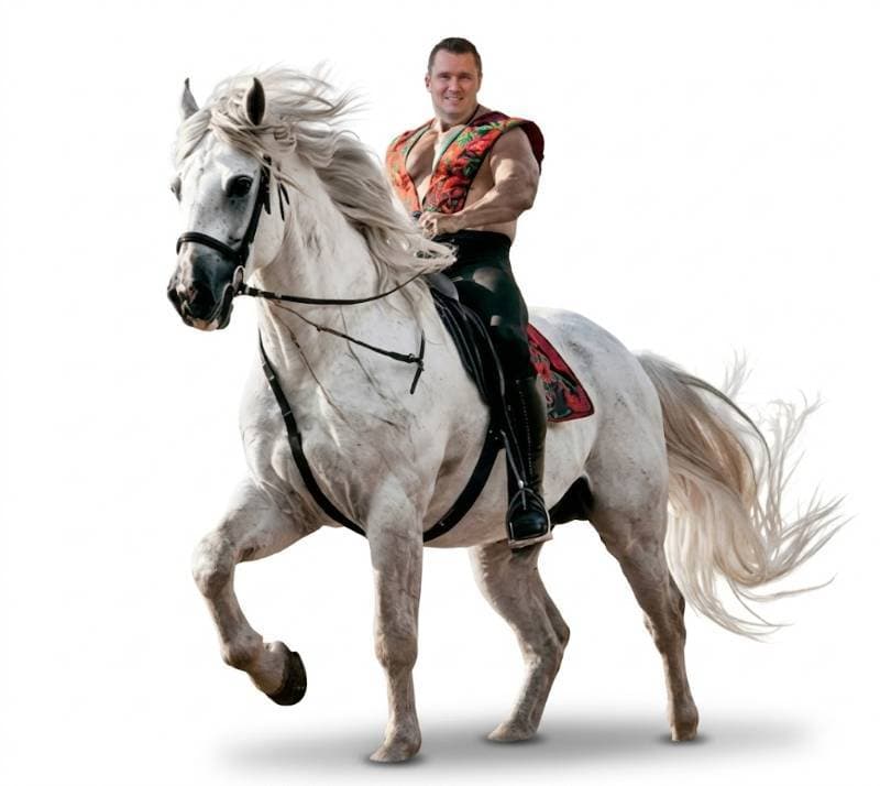 white horse