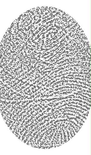 fingerprint pattern