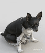 3d dog model