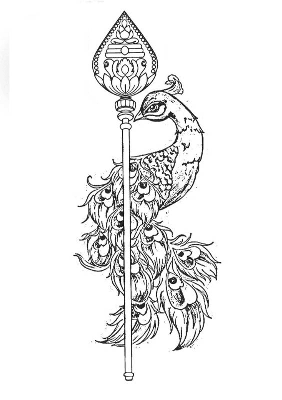 peacock staff