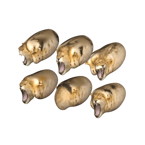 animal head