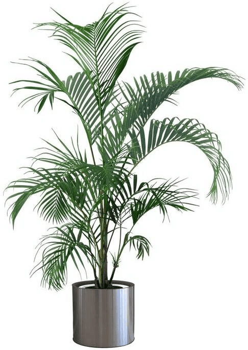 Input photo